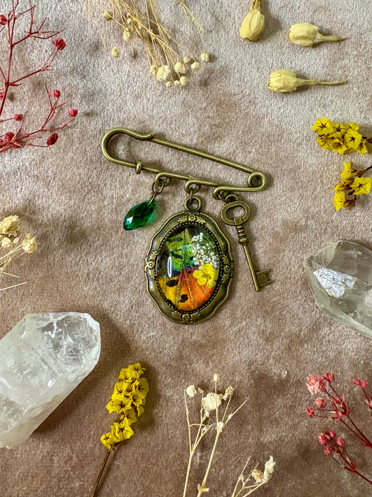 Madagascan Sunset Moth Brooch (small brass)