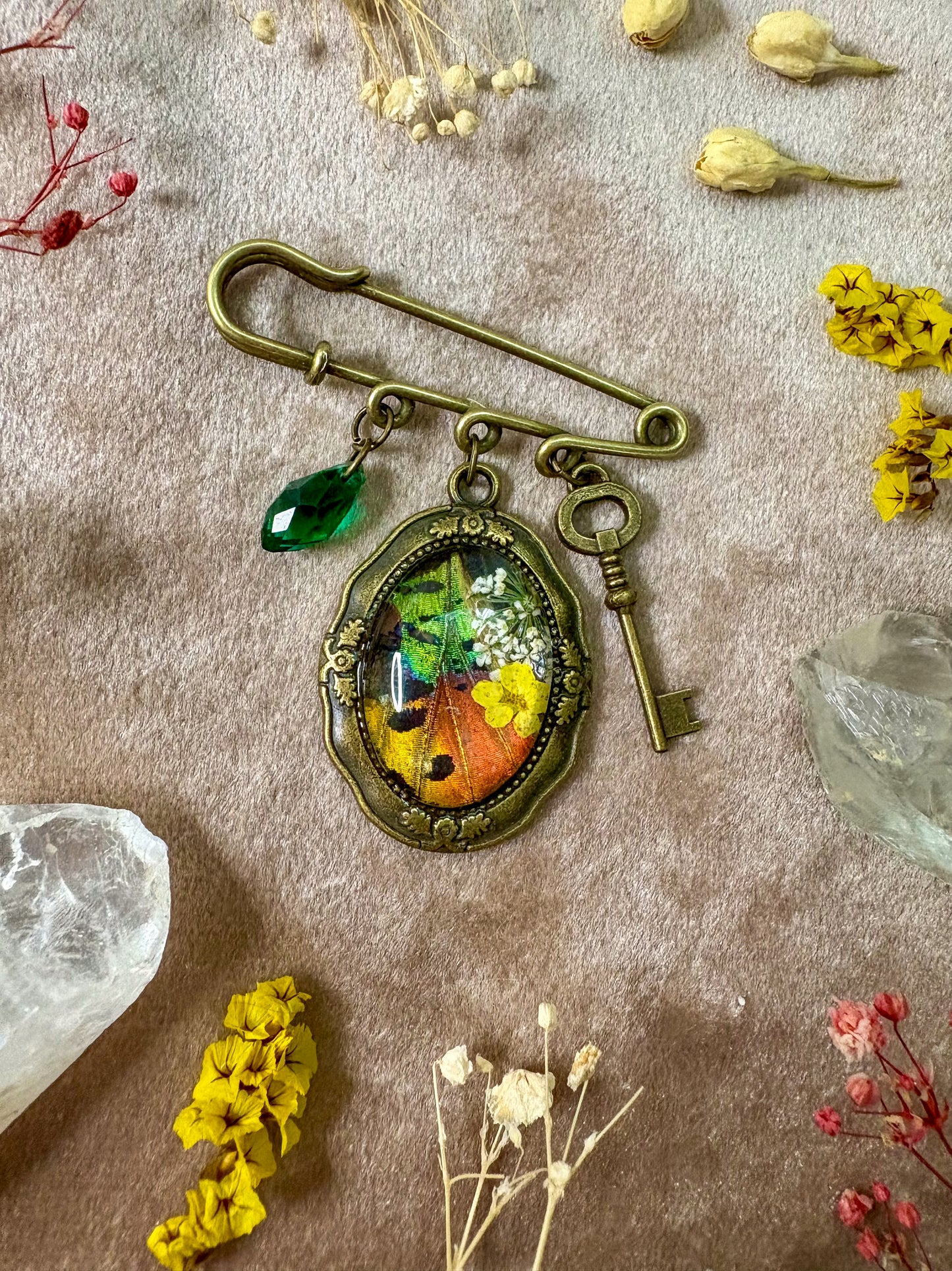 Madagascan Sunset Moth Brooch (small brass)