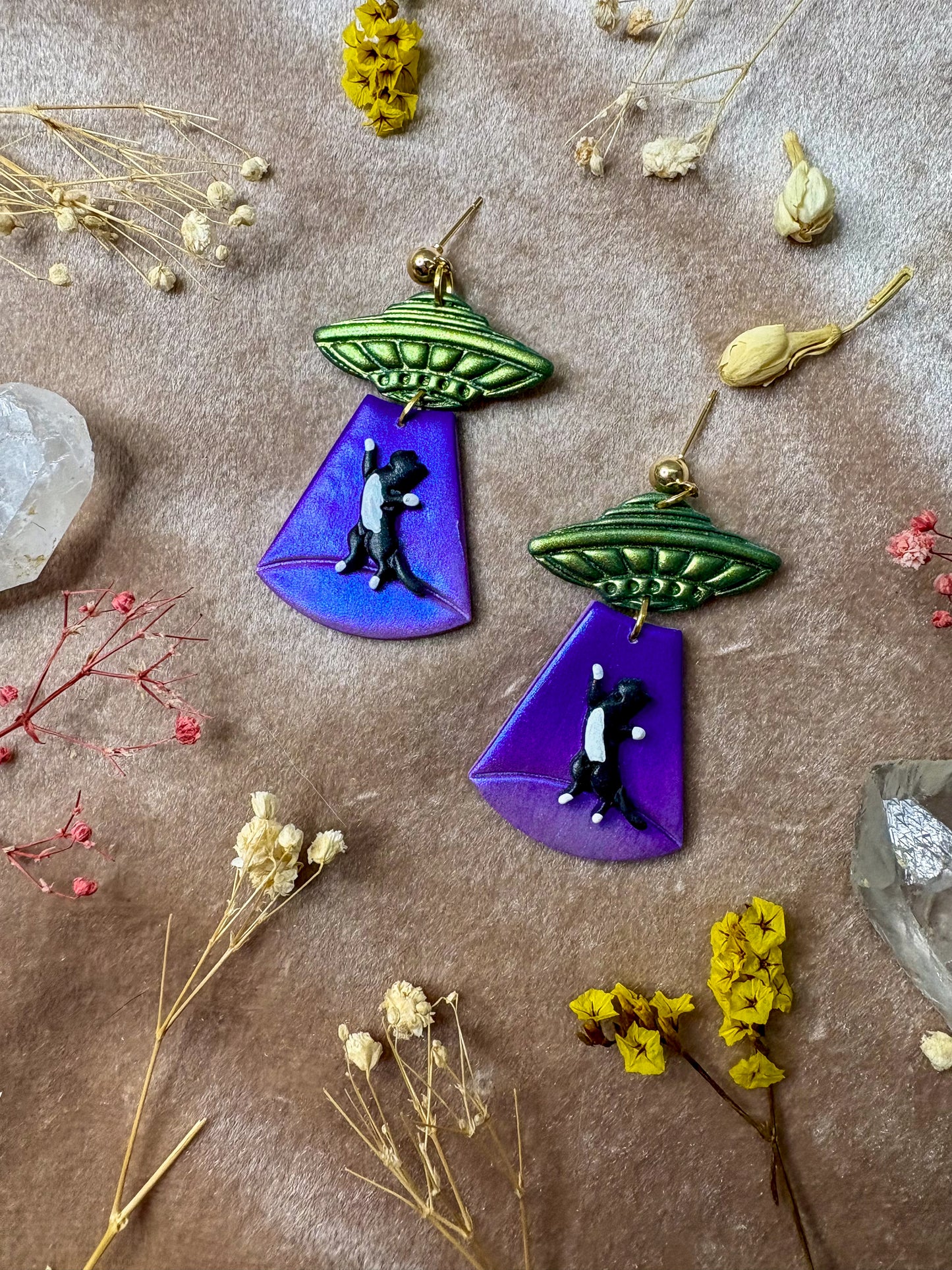 Cat Abduction Earrings (Tuxedo)
