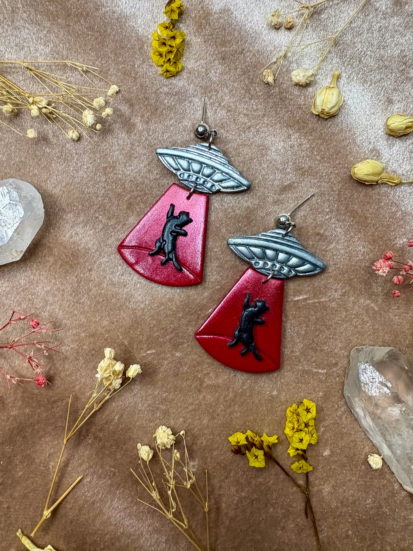 Cat Abduction Earrings (Black)