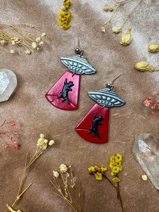 Cat Abduction Earrings (Black)
