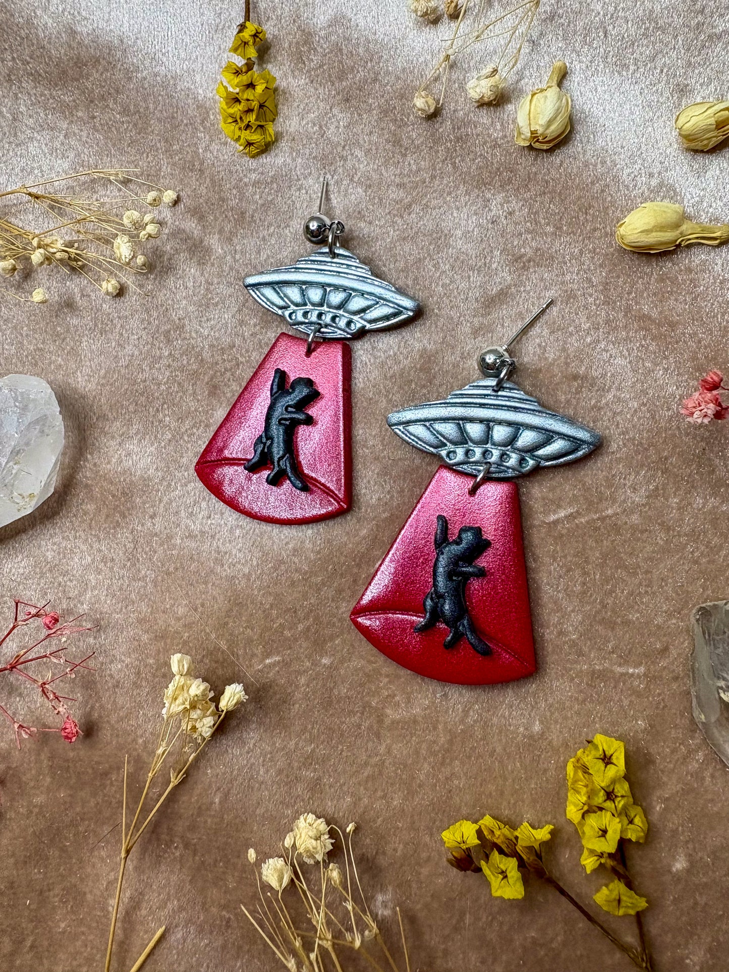 Cat Abduction Earrings (Black)
