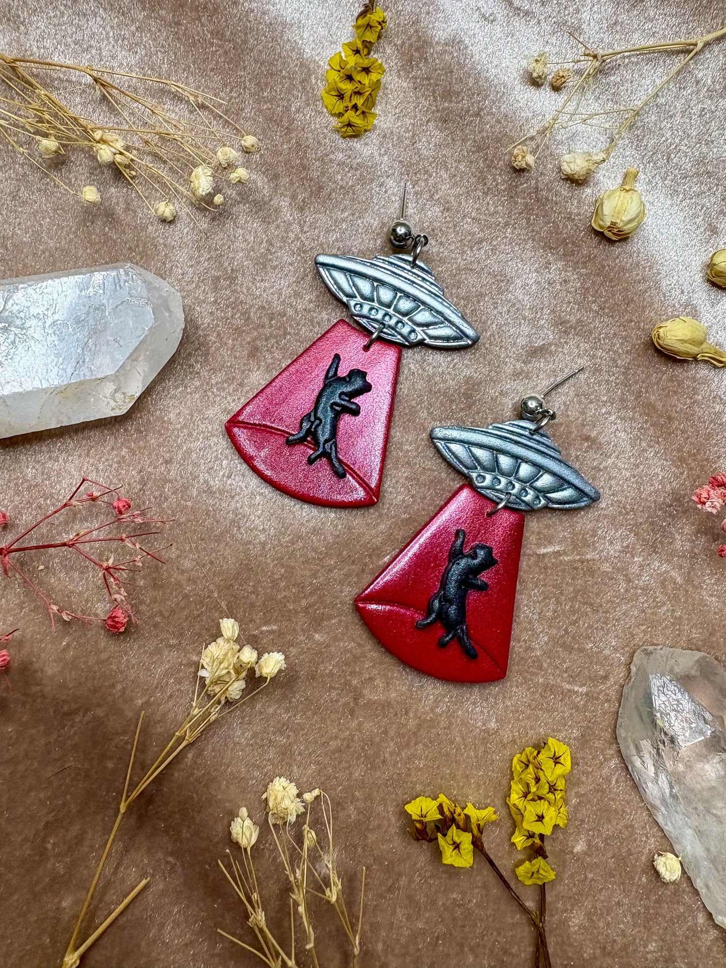 Cat Abduction Earrings (Black)