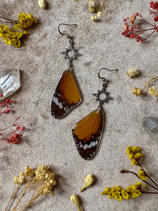 Plain Tiger Butterfly Wing Earrings