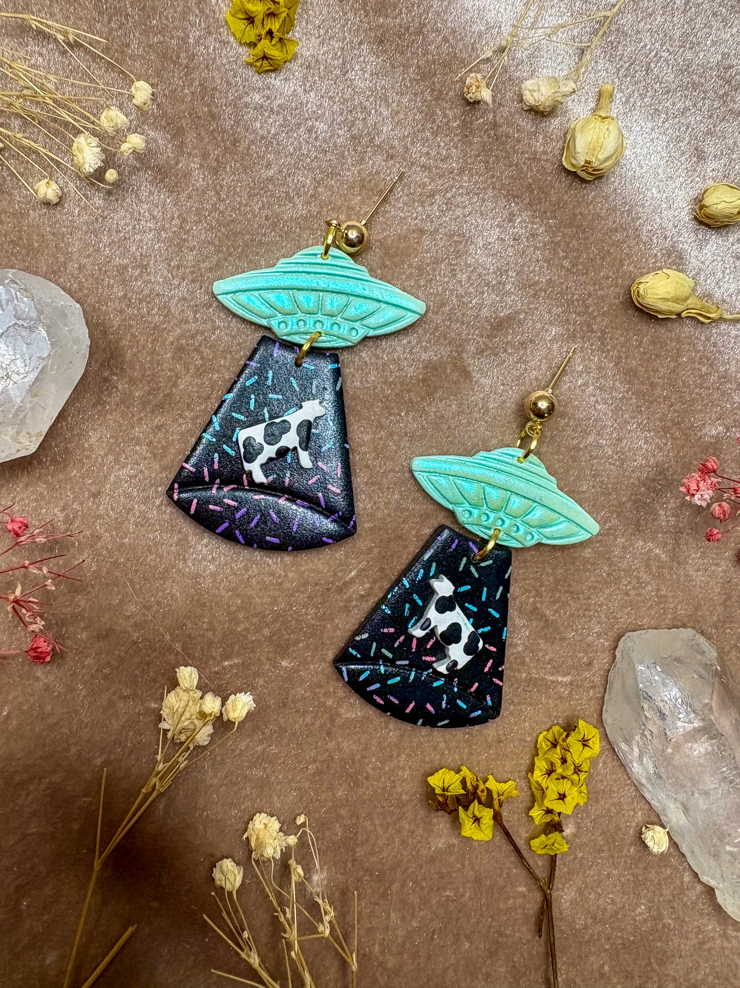 Alien Abduction (Rainbow Sprinkles) Earrings