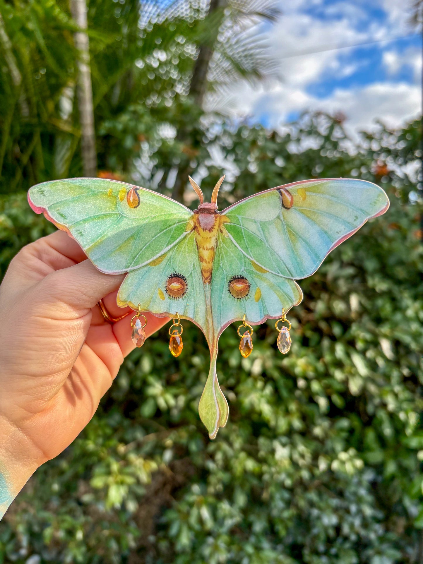 Luna Moth with Yellow Large Hair Clip