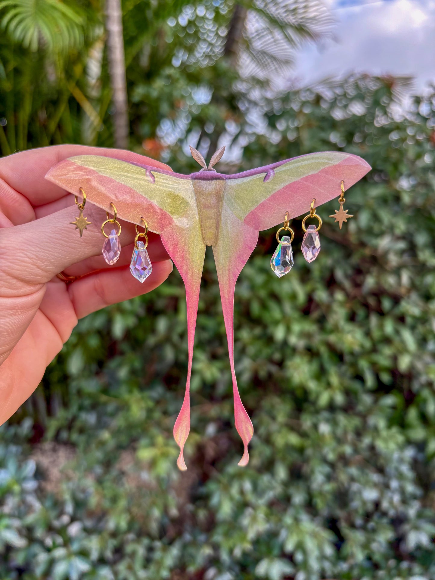 Chinese Moon Moth Large Hair Clip
