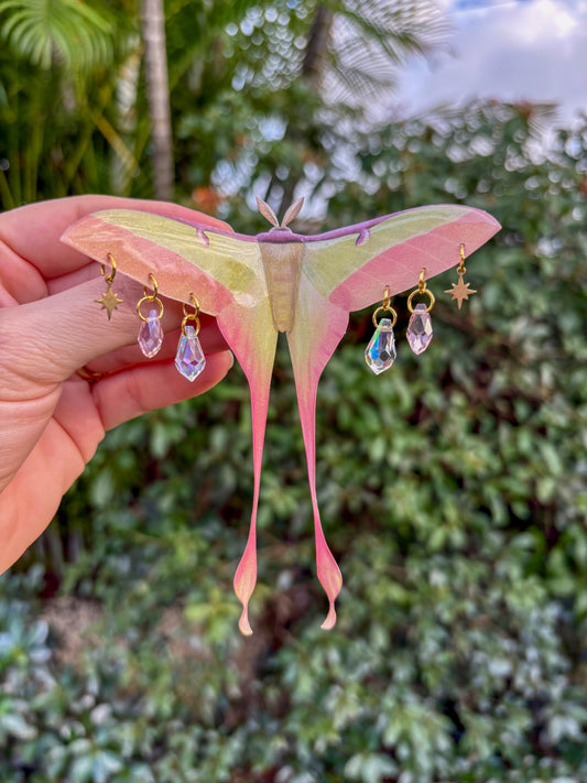 Chinese Moon Moth Large Hair Clip