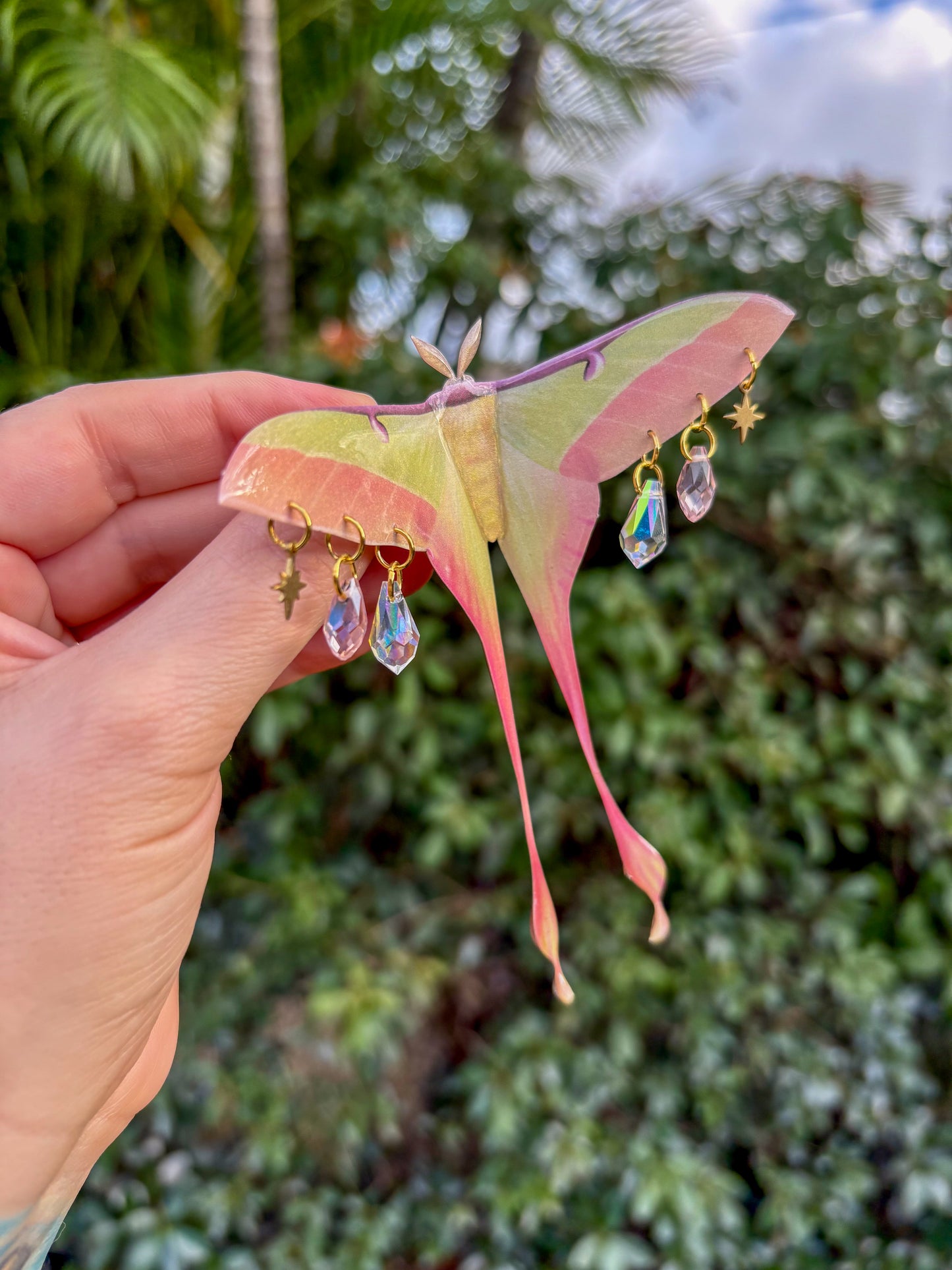 Chinese Moon Moth Large Hair Clip