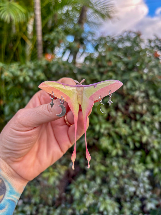 Chinese Moon Moth Small Hair Clip