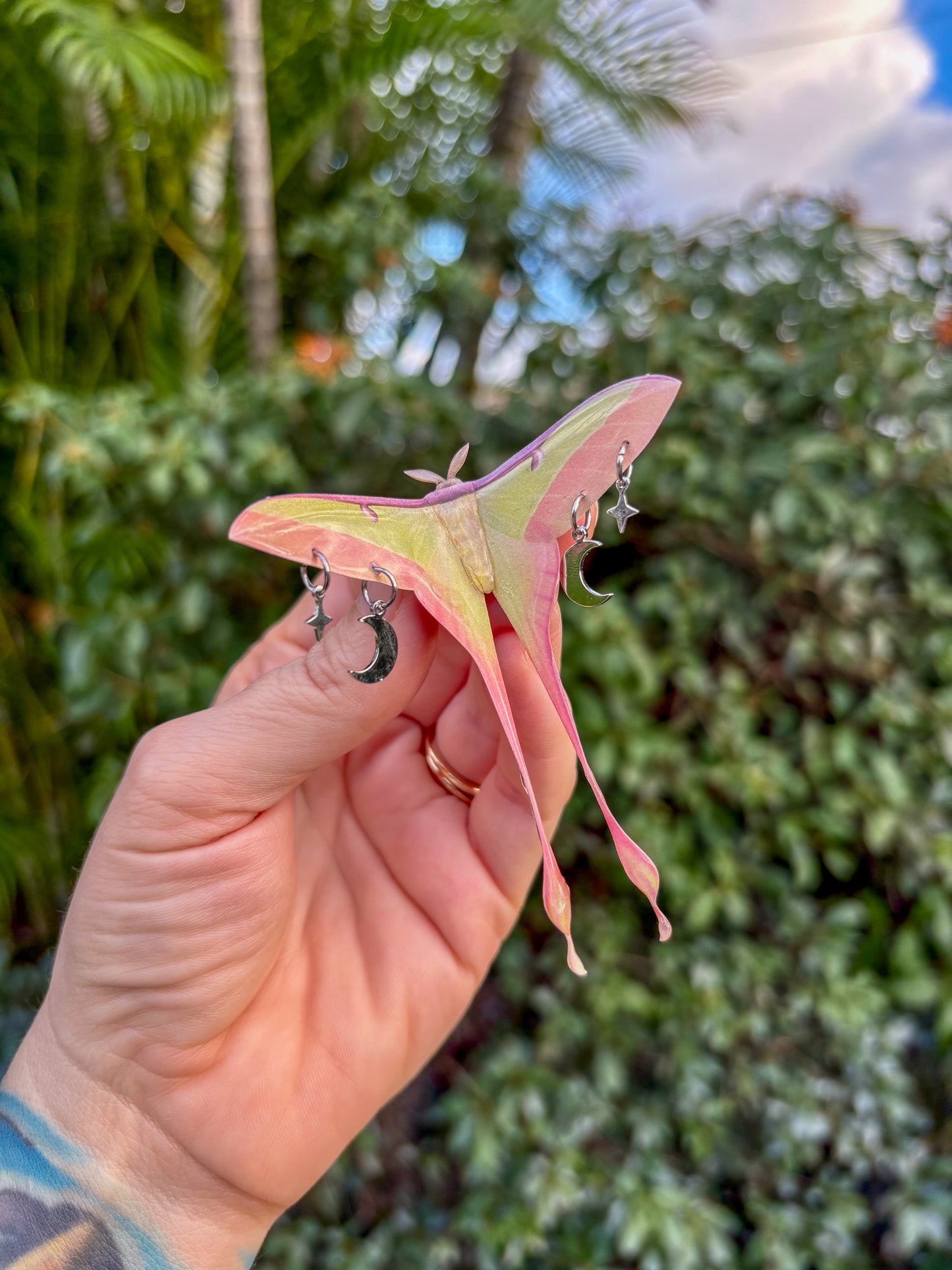 Chinese Moon Moth Small Hair Clip