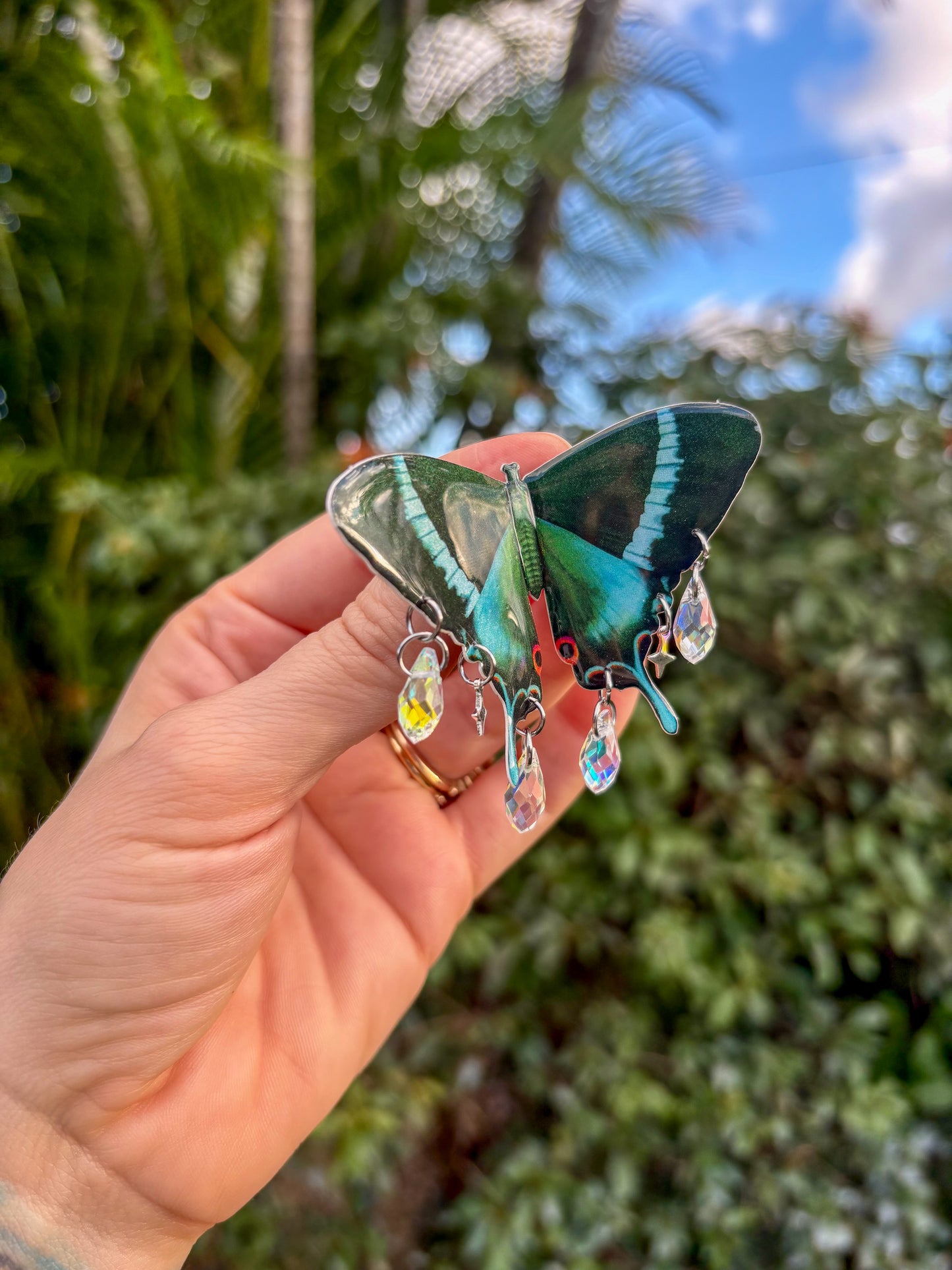Peacock Swallowtail Butterfly Hair Clip