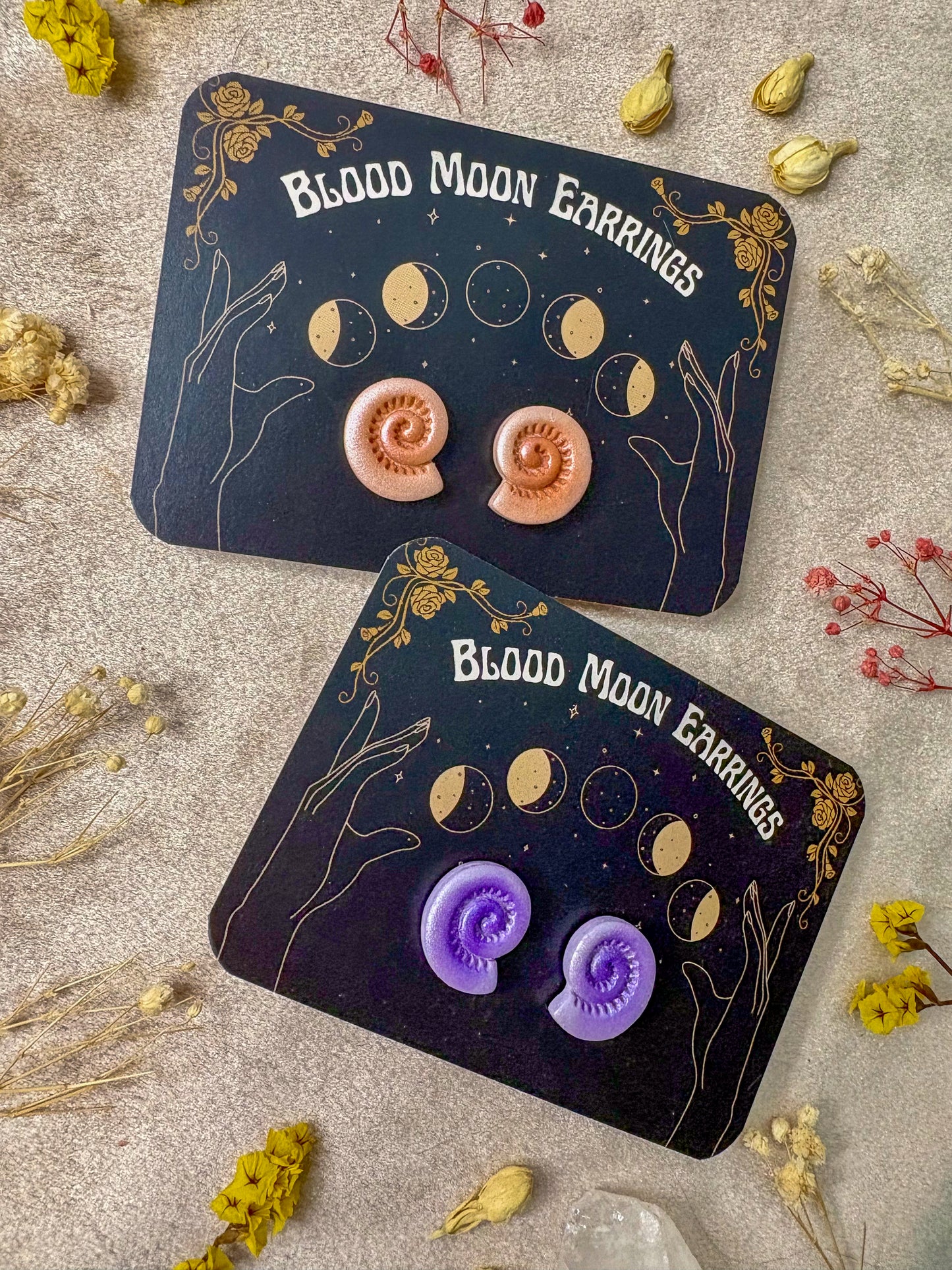 Spiral Shell Stud Earrings