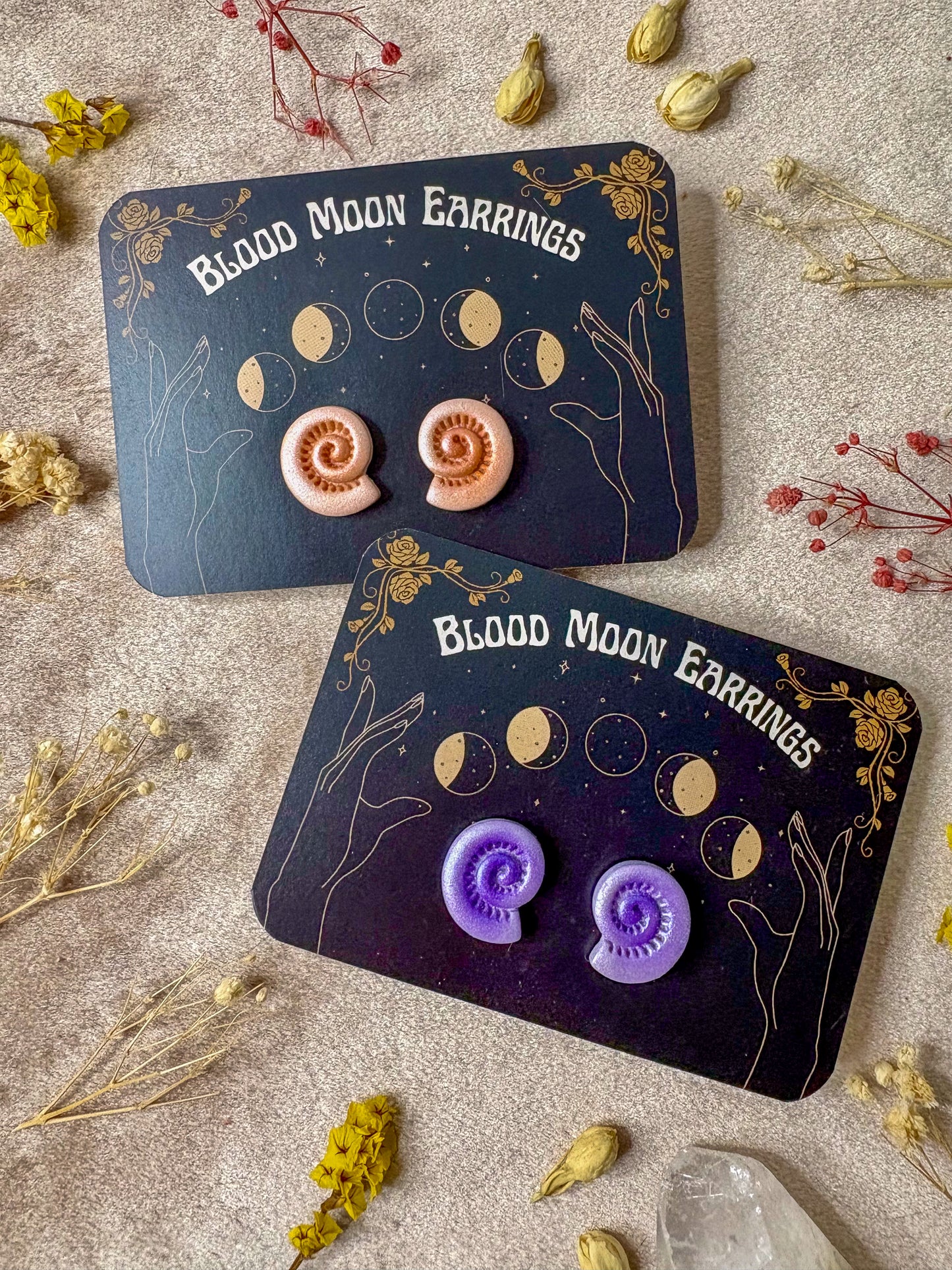 Spiral Shell Stud Earrings