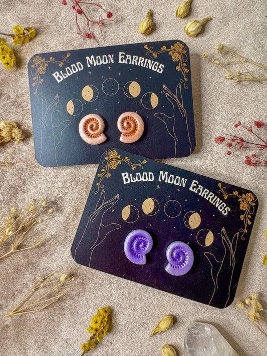 Spiral Shell Stud Earrings