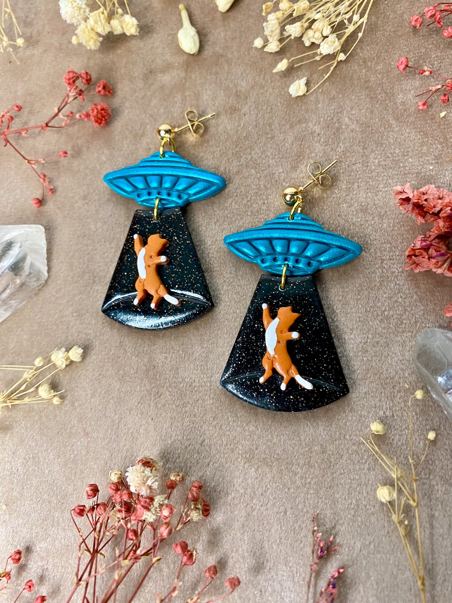 Cat Abduction Earrings (Tabby)