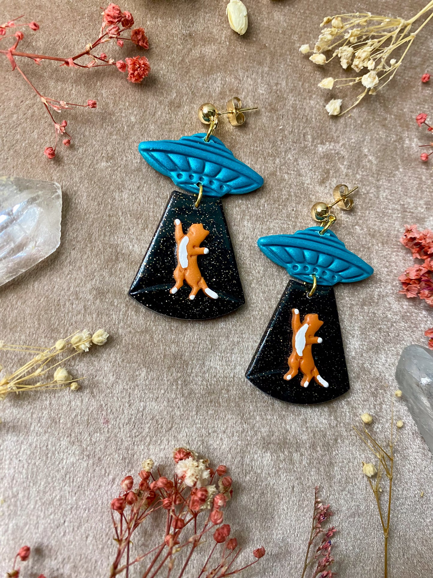 Cat Abduction Earrings (Tabby)