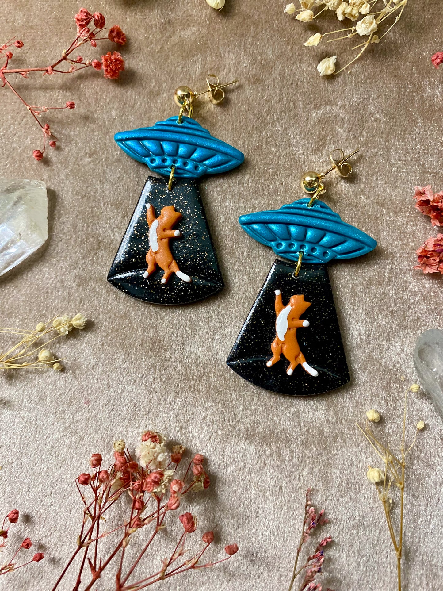 Cat Abduction Earrings (Tabby)