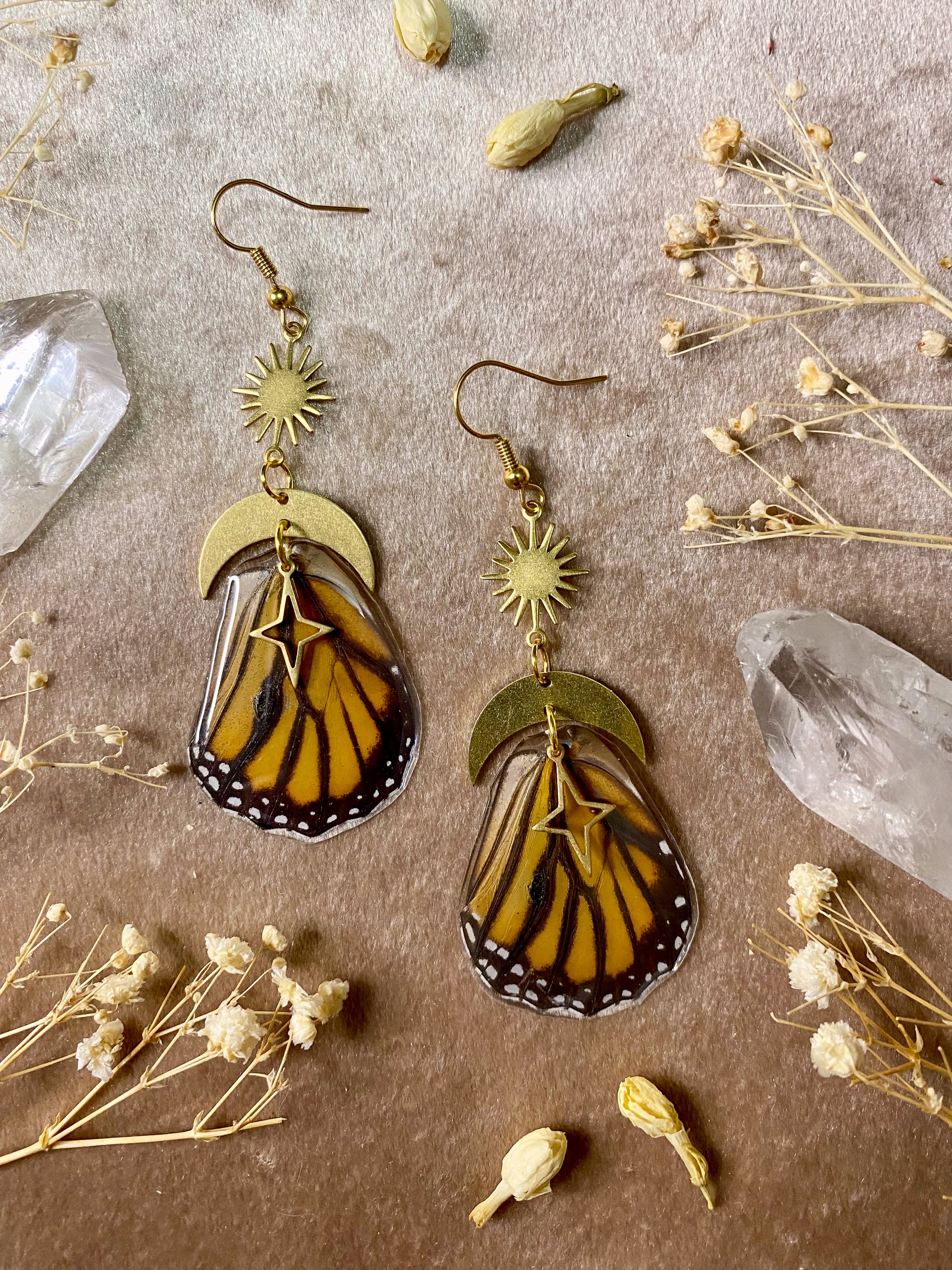 real monarch wing resin butterfly earrings