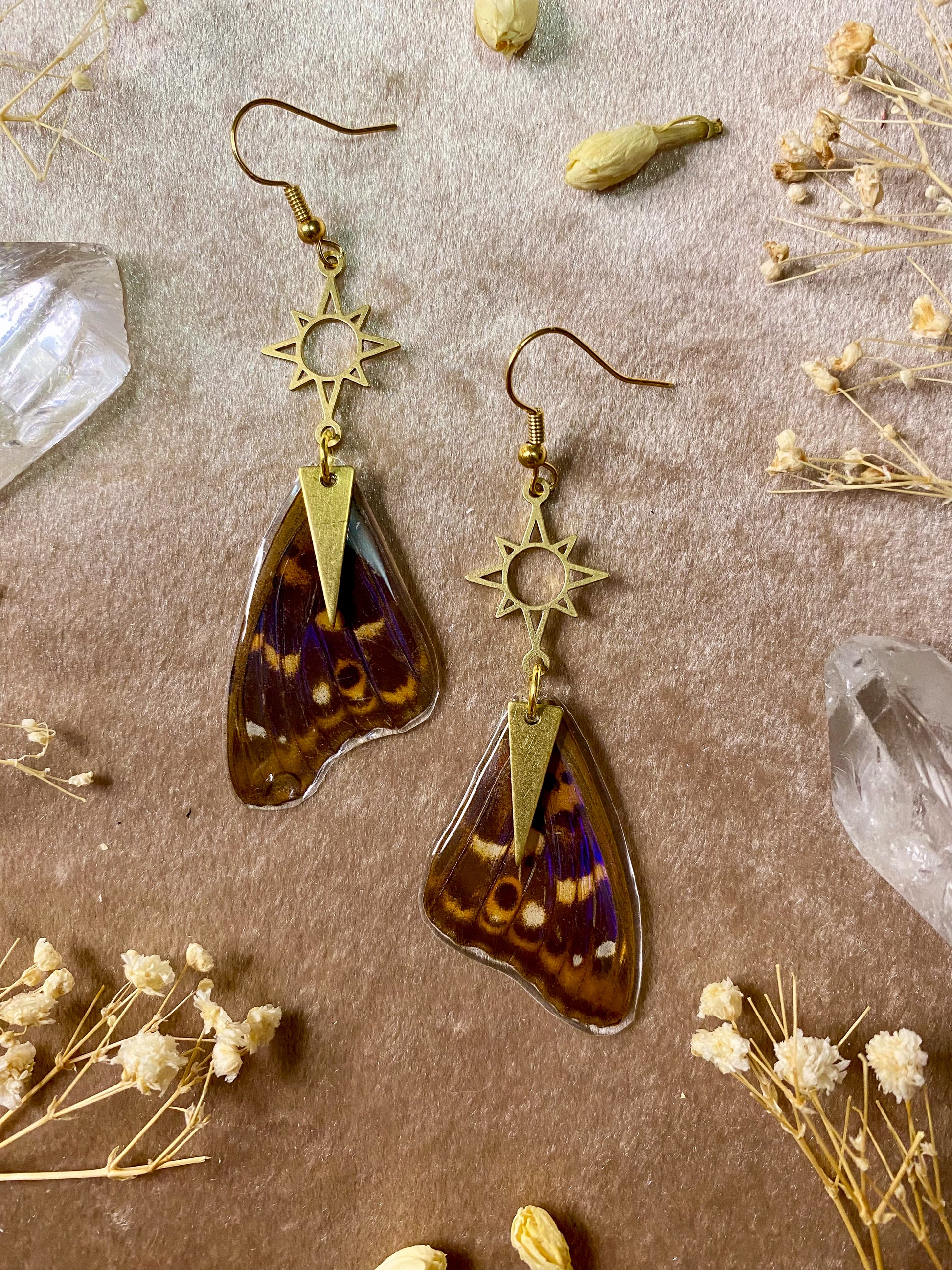 purple emperor real butterfly resin wing earrings
