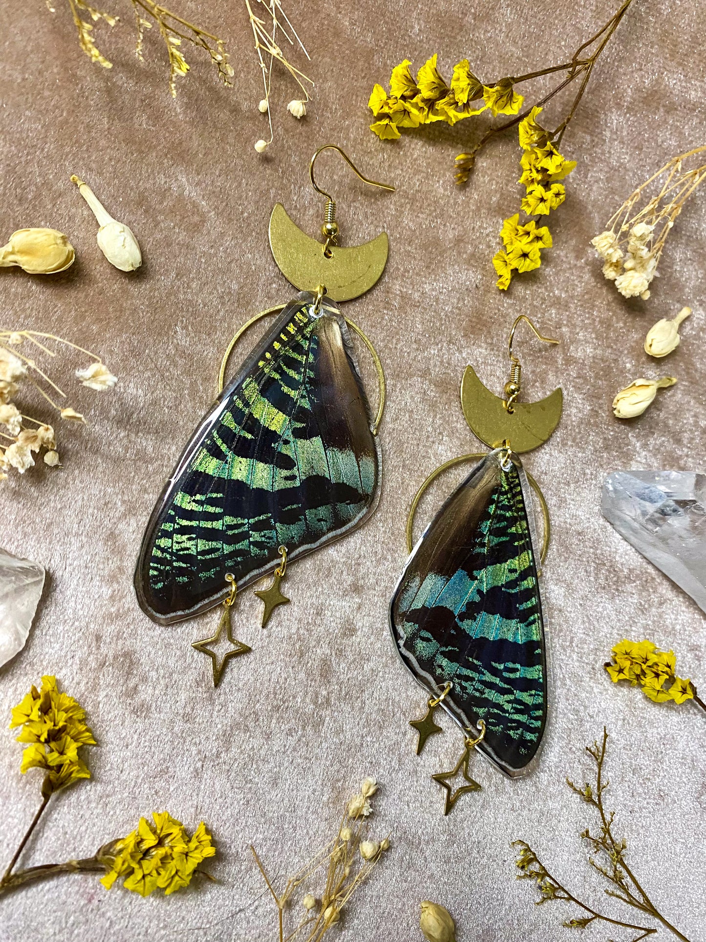 Madagascan Green Sunset Moth Earrings