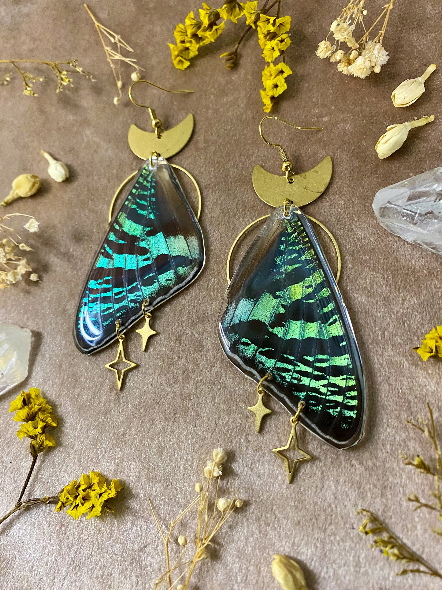 Madagascan Green Sunset Moth Earrings