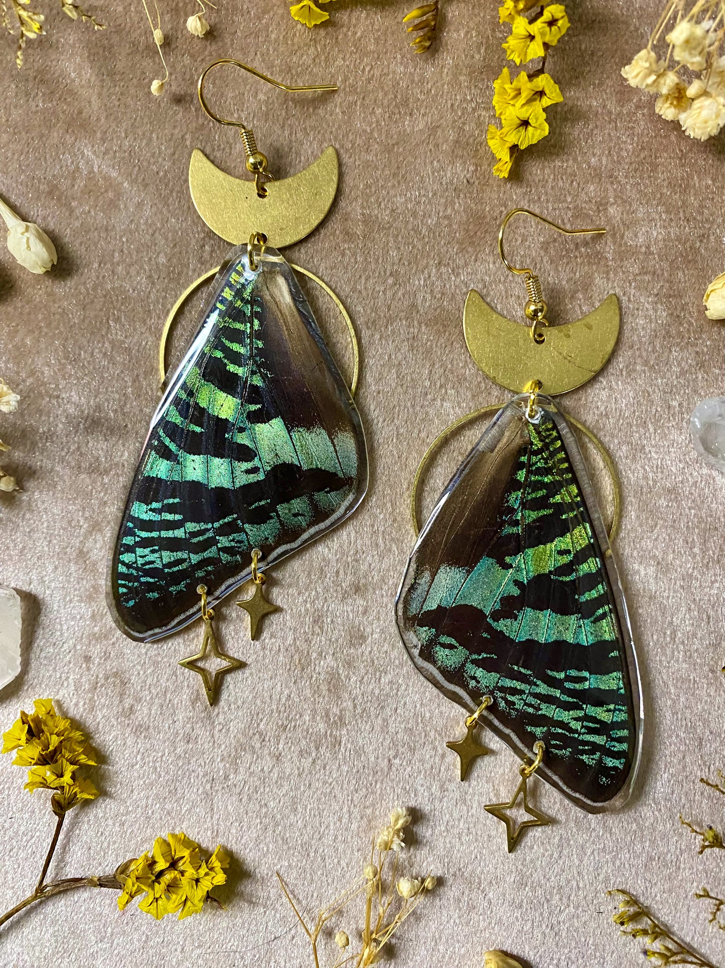 Madagascan Green Sunset Moth Earrings