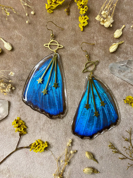 real blue morpho butterfly moth wing resin dangle earrings
