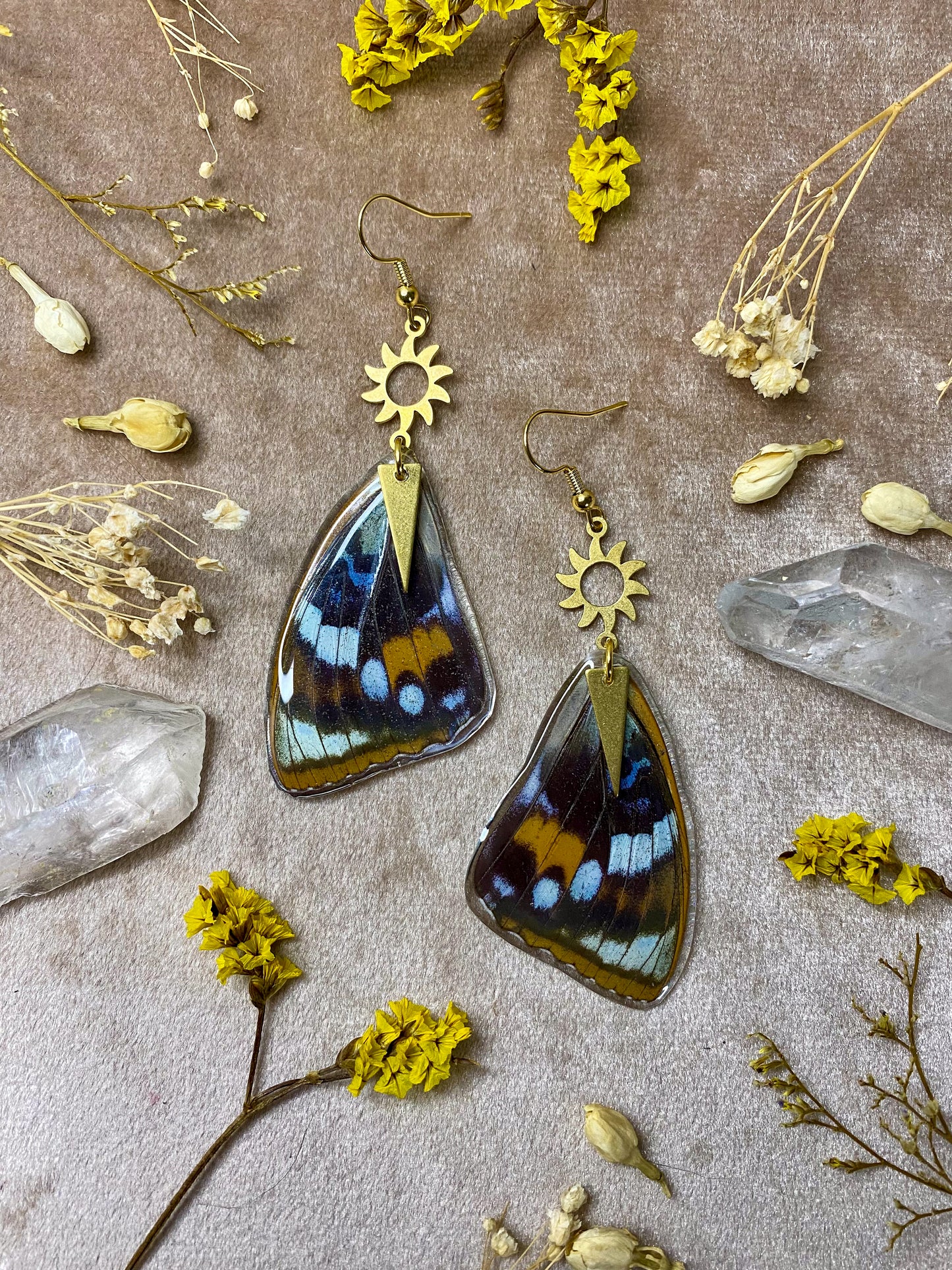 Schrenck's Emperor Butterfly Wing Earrings (Top Wings)