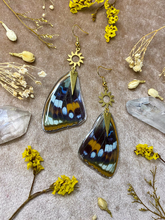 resin real butterfly moth wing dangle earrings