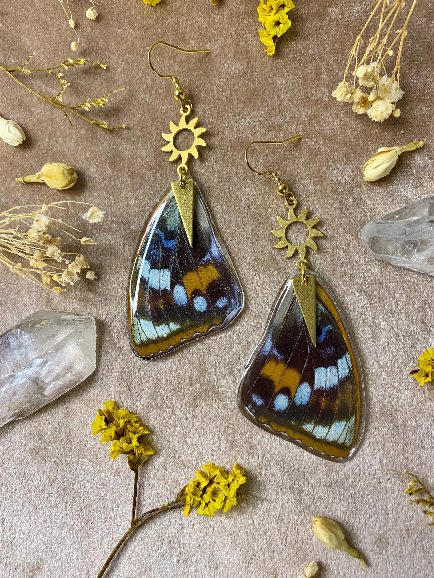 Schrenck's Emperor Butterfly Wing Earrings (Top Wings)