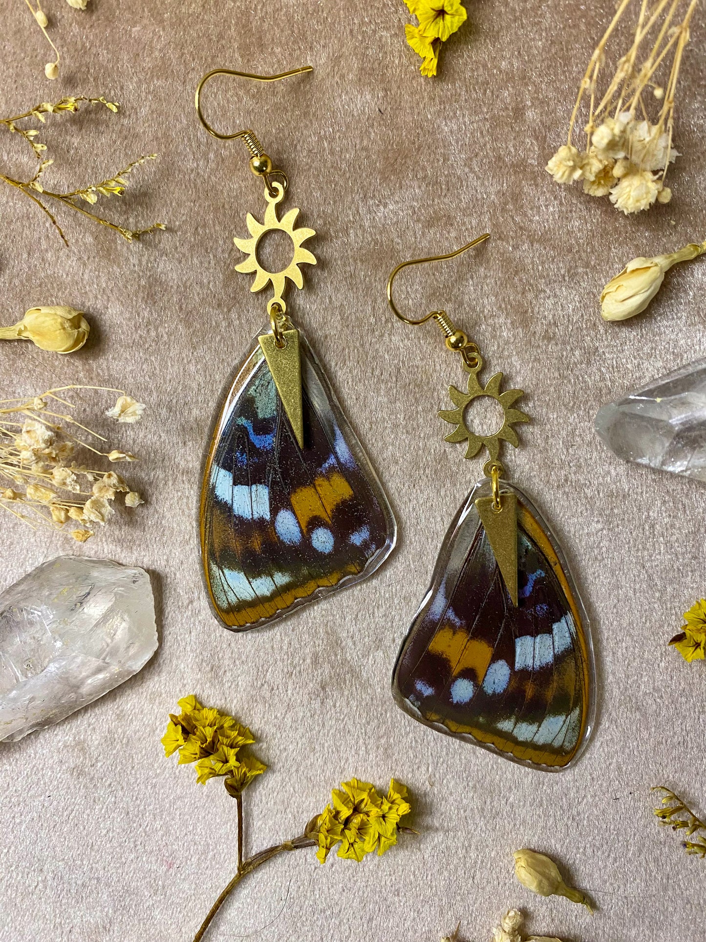 Schrenck's Emperor Butterfly Wing Earrings (Top Wings)