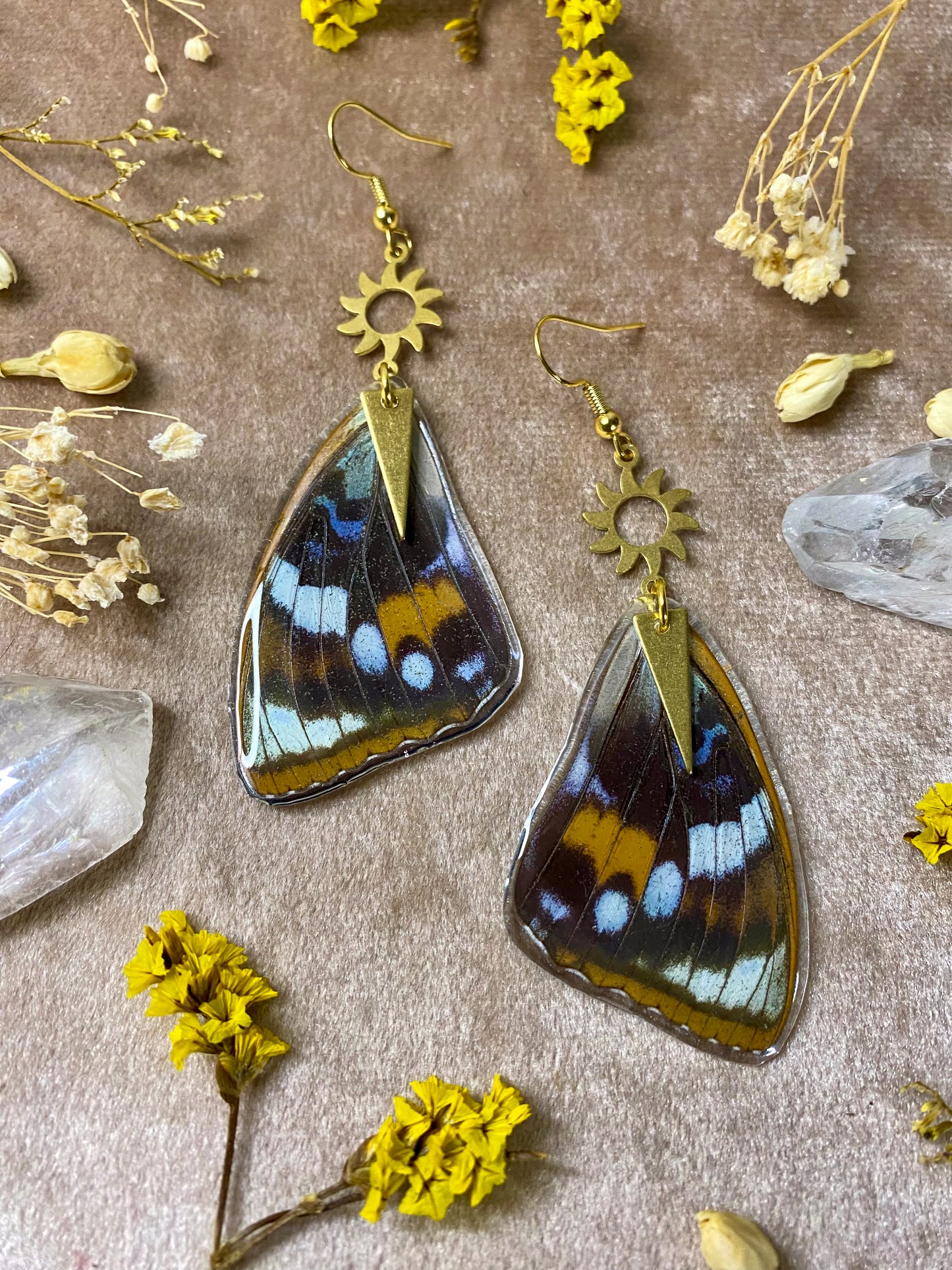 Schrenck's Emperor Butterfly Wing Earrings (Top Wings)