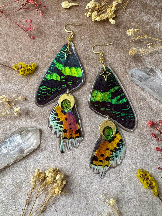 Double Madagascan Sunset Moth Earrings