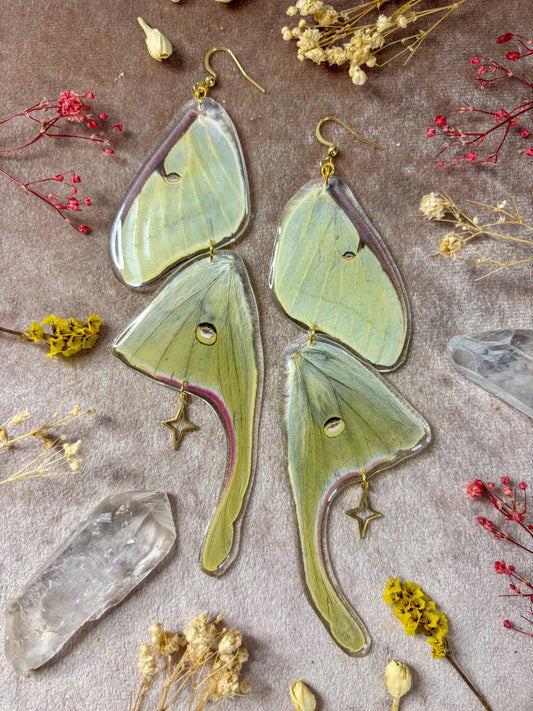 Double Luna Moth Earrings