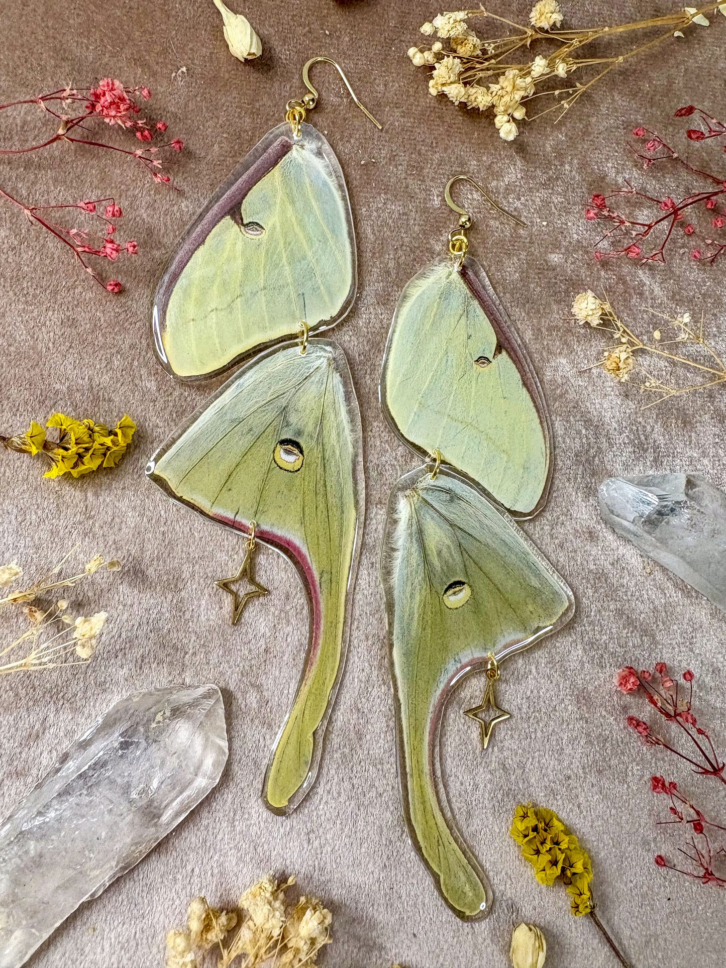 Double Luna Moth Earrings