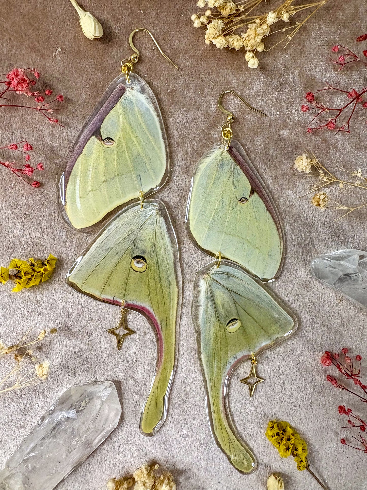 Double Luna Moth Earrings