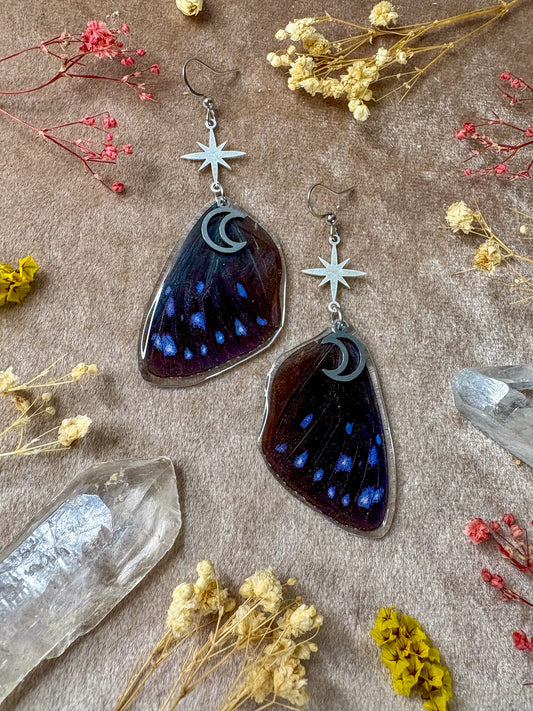 Striped Blue Crow Butterfly Wing Earrings (Silver)