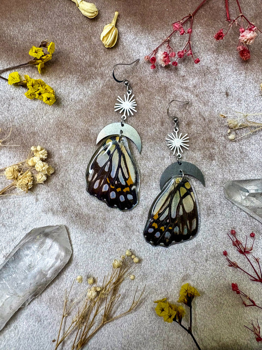 Black and White Asian Swallowtail Butterfly Wing Earrings (Top Wings)