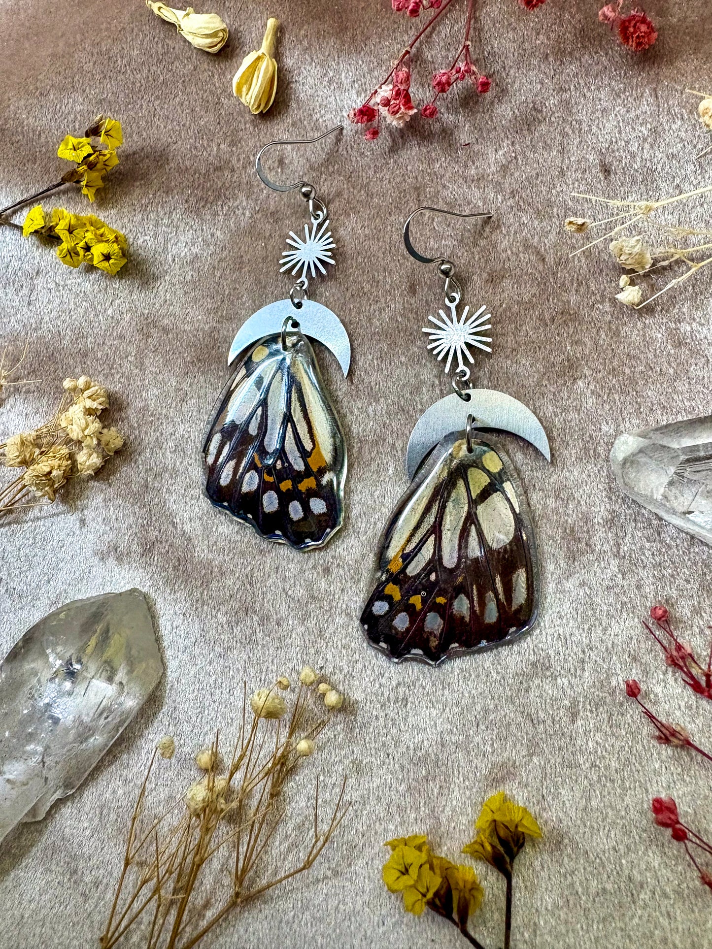 Black and White Asian Swallowtail Butterfly Wing Earrings (Top Wings)