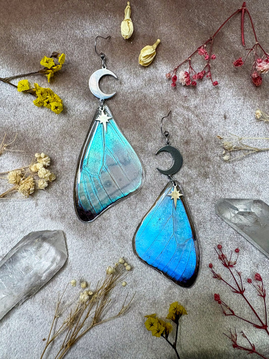 Blue Morpho Butterfly (Top Wings) Earrings
