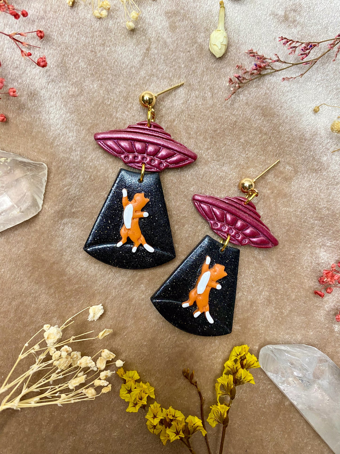 Cat Abduction Earrings (Tabby)