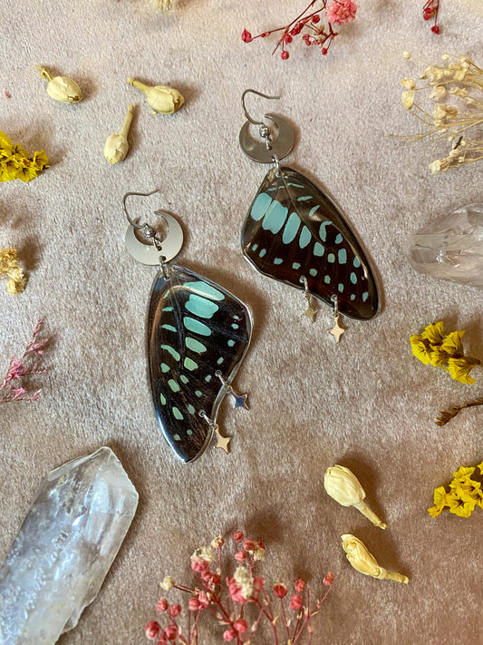 Common Jay Butterfly Wing Earrings