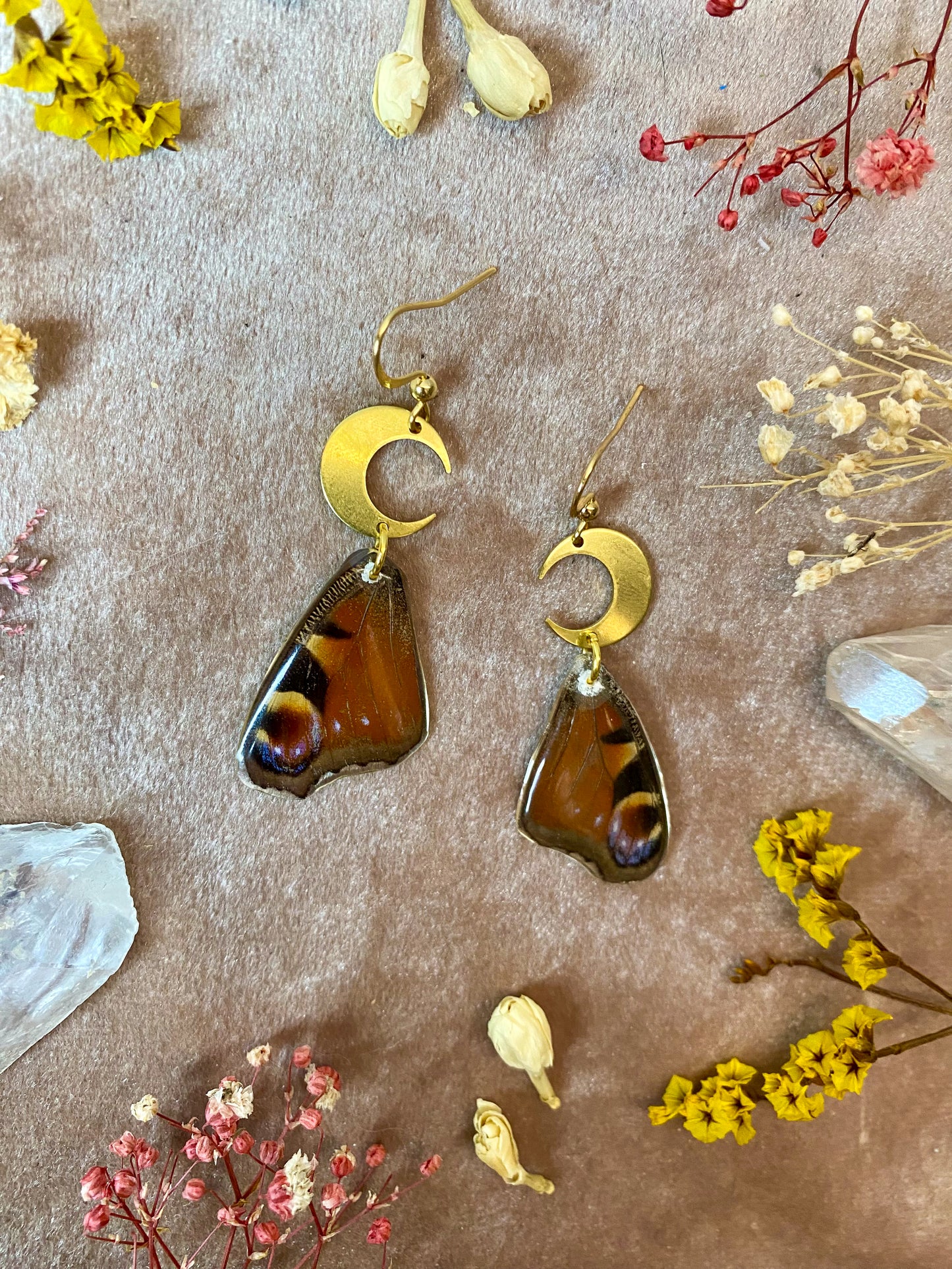 Peacock Pansy Butterfly Earrings