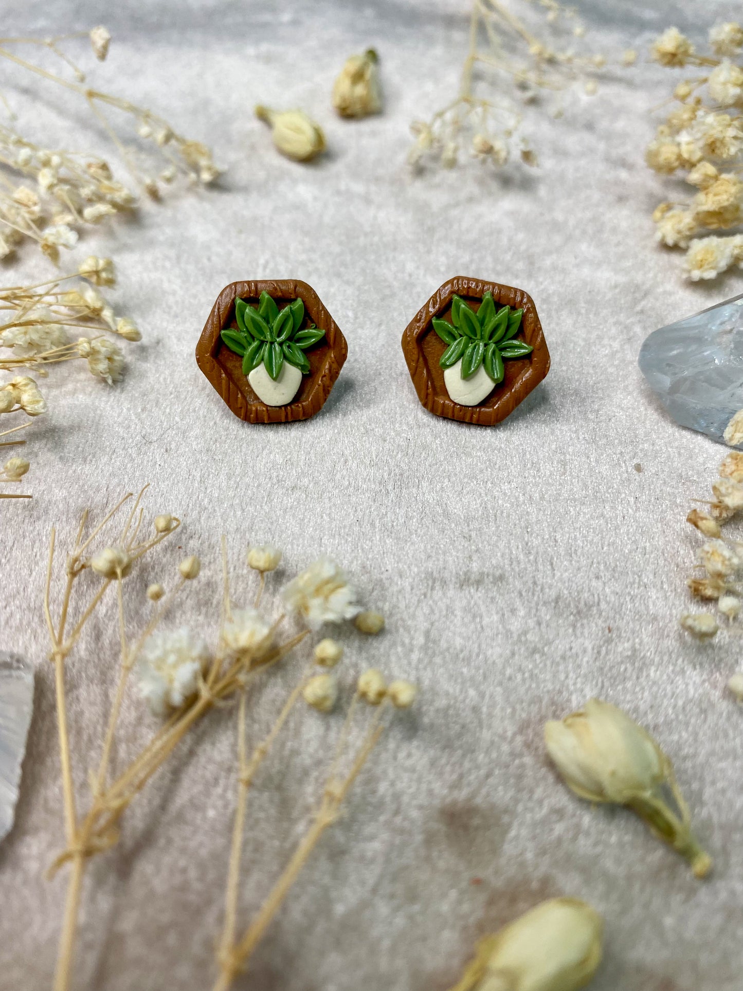 Potted Plant Hexagon Stud Earrings
