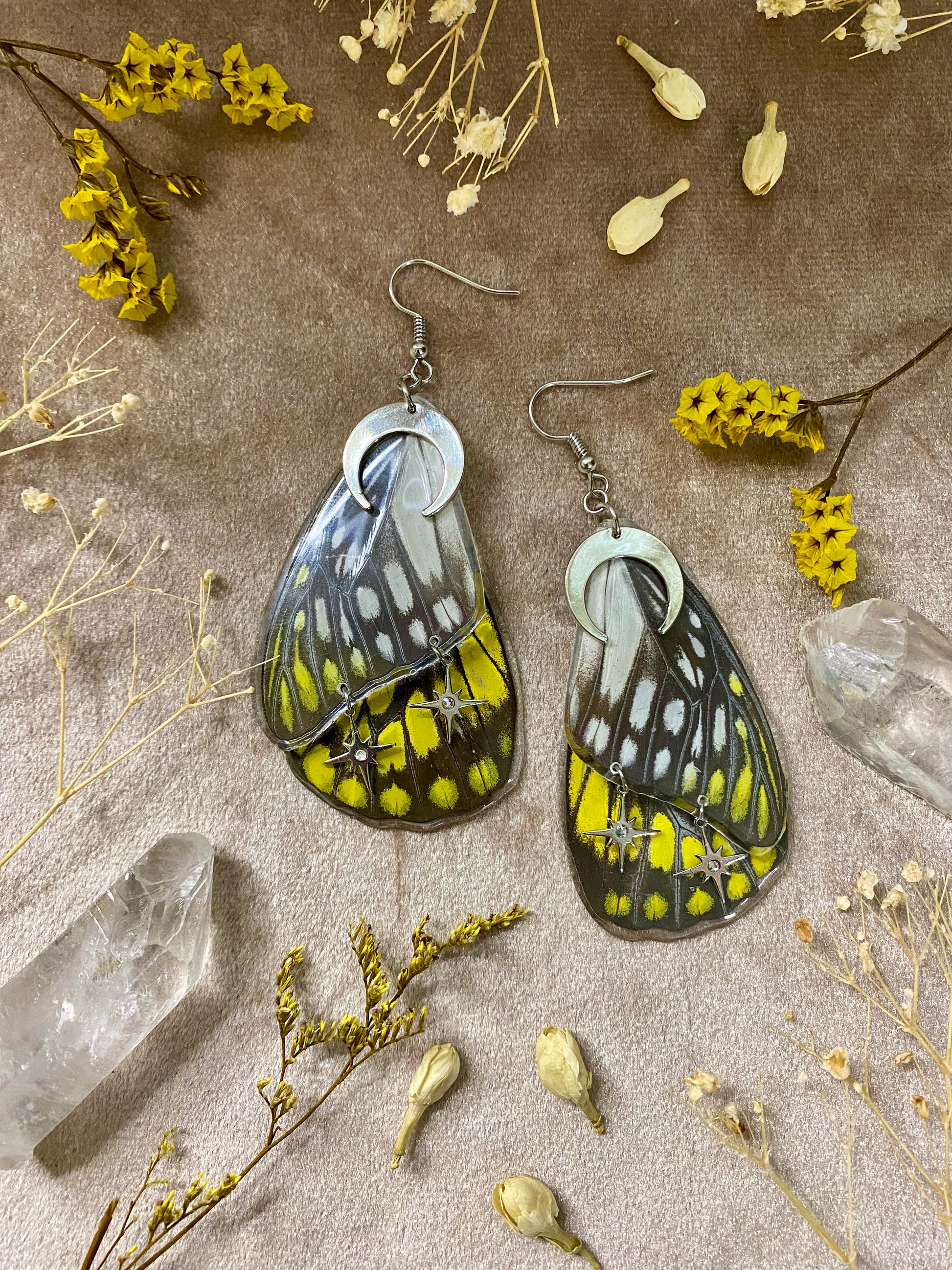 resin spotted sawtooth yellow butterfly wing specimen dangle earrings