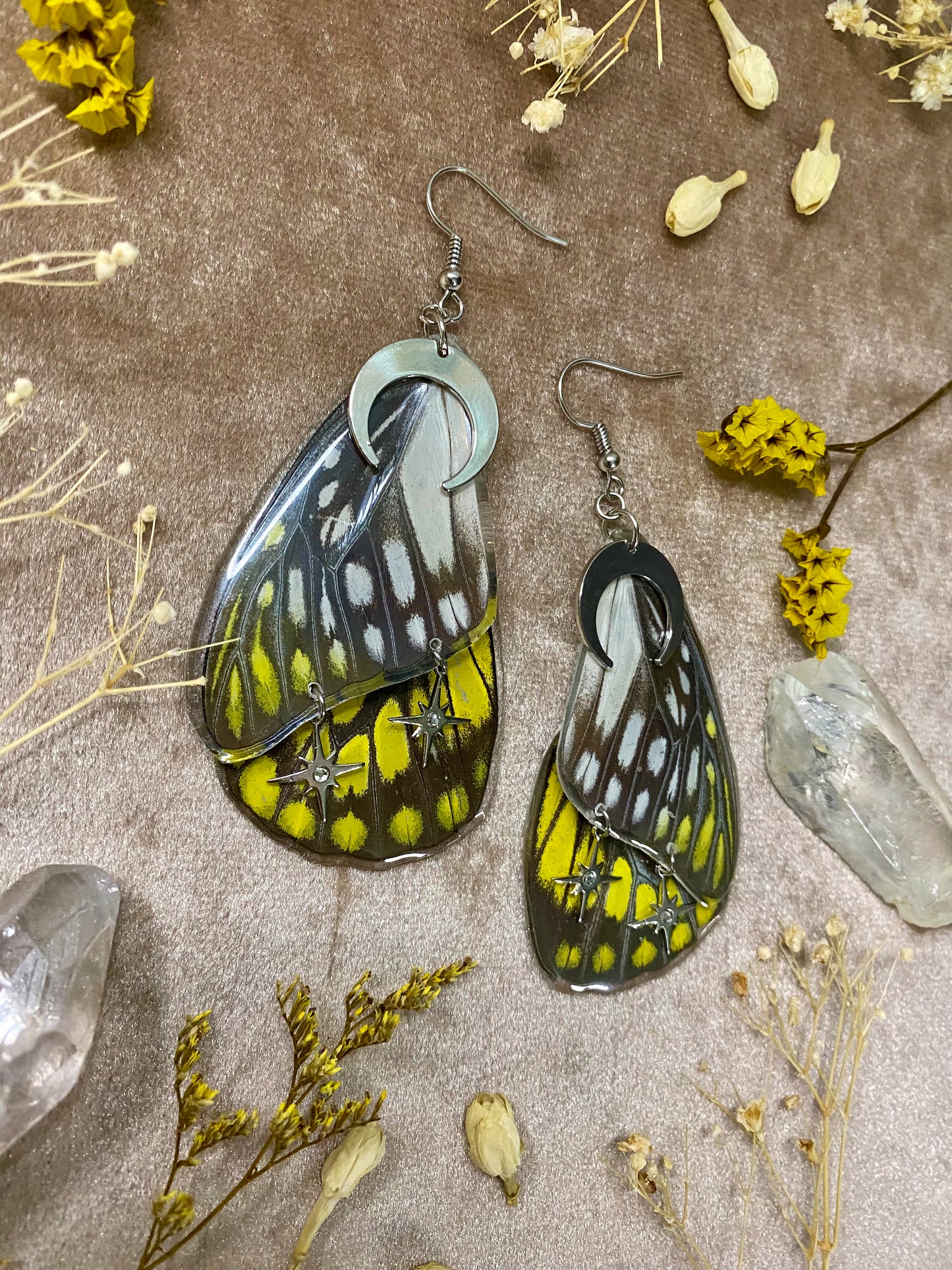 Spotted Sawtooth Butterfly Earrings (Double Wings)