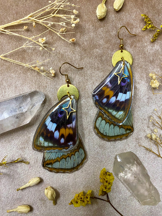 resin schrencks emperor butterfly dangle earrings