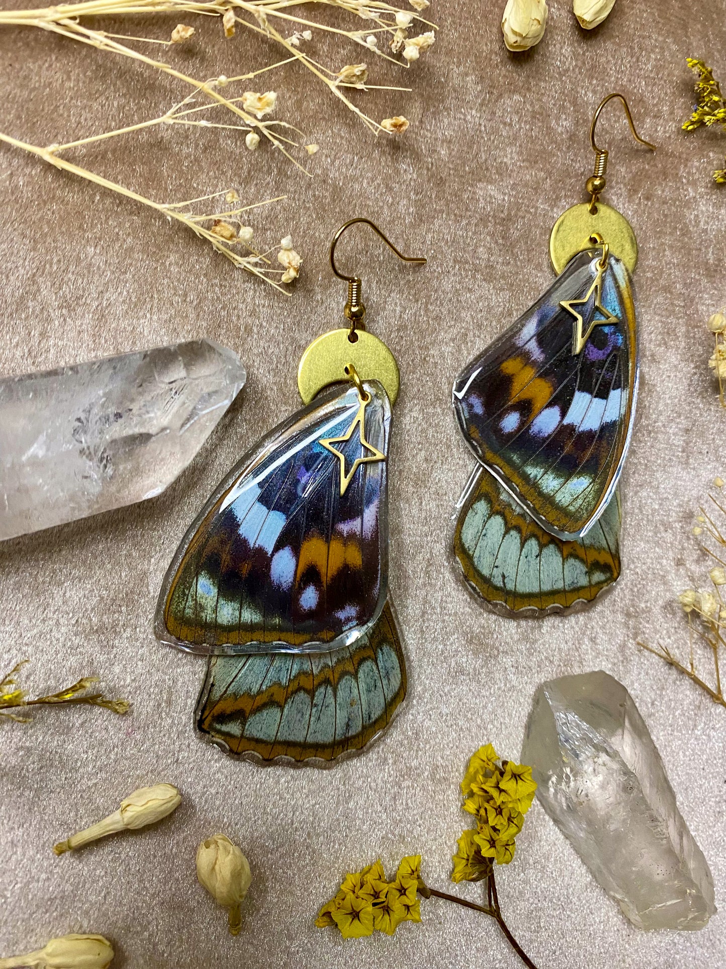 Schrenck's Emperor Butterfly Wing Earrings