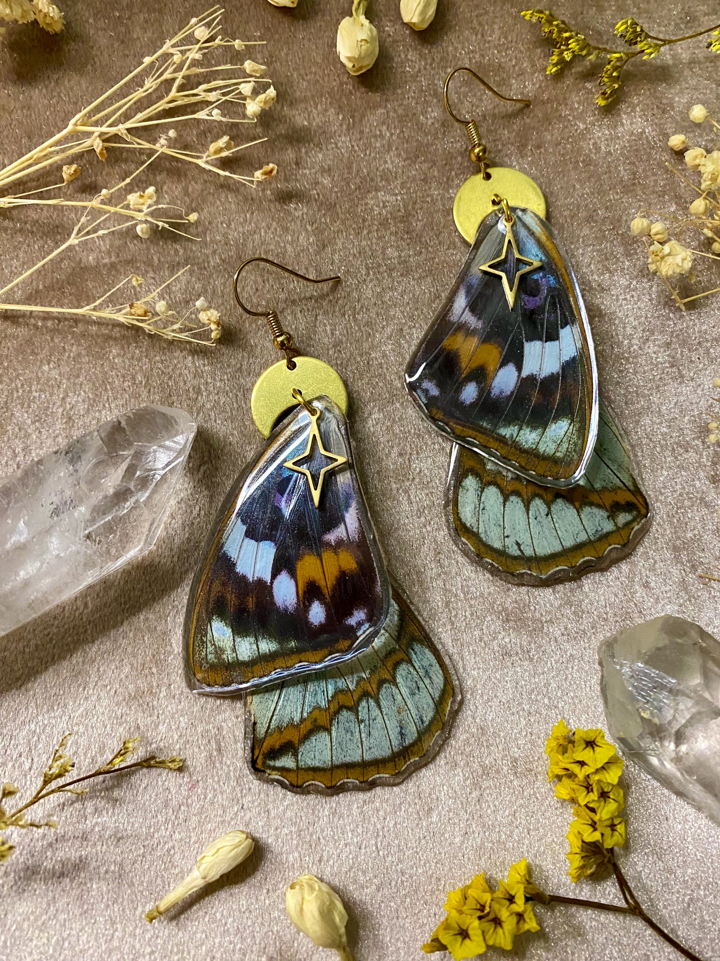 Schrenck's Emperor Butterfly Wing Earrings